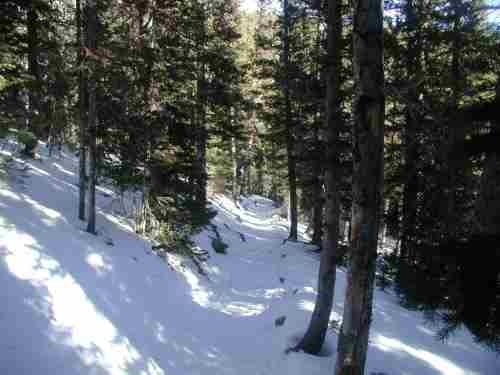 The trail in the Winter