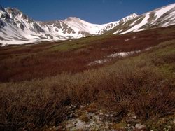 Grays in the middle and Torreys on the far right