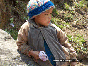 Boy giving flowers to trekkers in the Khumbu