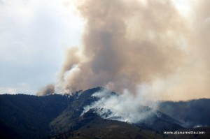 Fire just outside Ft. Collins city limits west of Horsetooth Reservoir. Heavy water and fire retardant drops all day to protect surrounding homes seemed to have stopped this flare up but main fire is moving north. June 11 5PM