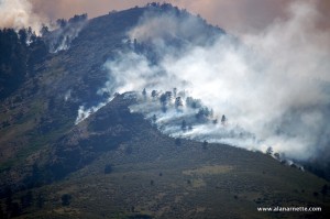 Fire just outside Ft. Collins city limits west of Horsetooth Reservoir. Heavy water and fire retardant drops all day to protect surrounding homes seemed to have stopped this flare up but main fire is moving north. June 11 5PM