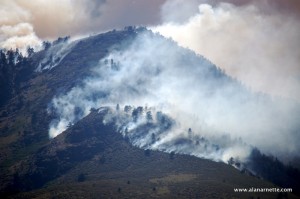 Fire just outside Ft. Collins city limits west of Horsetooth Reservoir. Heavy water and fire retardant drops all day to protect surrounding homes seemed to have stopped this flare up but main fire is moving north. June 11 5PM