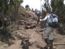 on KIlimanjaro