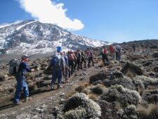 Hiking on Kilimanjaro