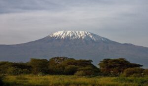 Kilimanjaro