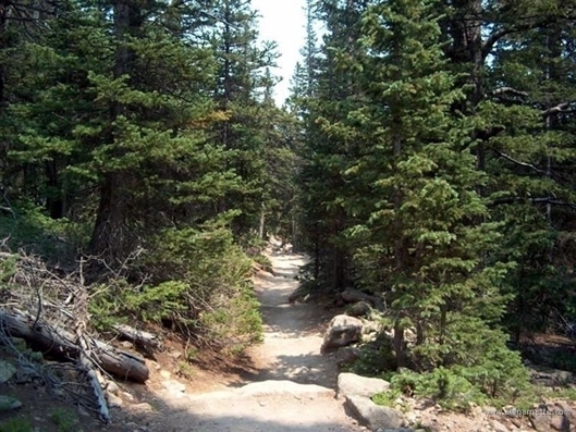The trail in the Summer