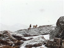 Click for large image