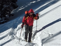 Click for large image