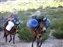 Mules arriving at Pampa de Lenas