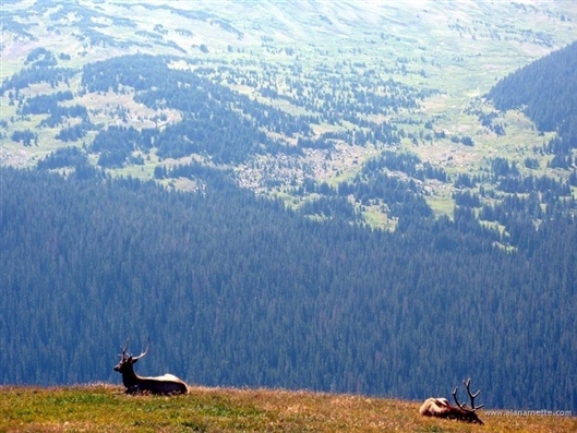 Click for large image